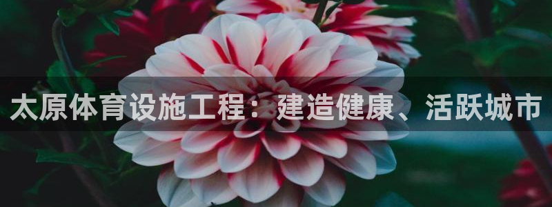 意昂体育3开户：太原体育设施工程：建造健康、活跃城市