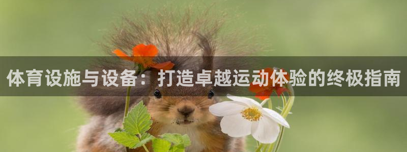 意昂3娱乐40996：体育设施与设备：打造卓越运动体