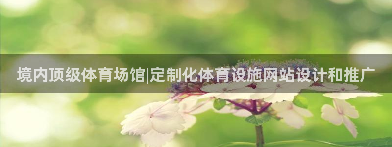 意昂3集团简介：境内顶级体育场馆|定制化体育设施网站