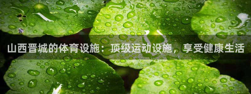 意昂3五金厂：山西晋城的体育设施：顶级运动设施，享受