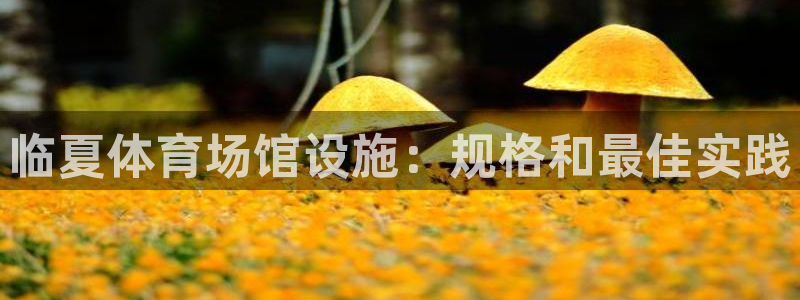 意昂体育3招商电话号码查询：临夏体育场馆设施：规格和