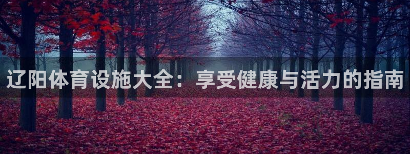意昂体育3平台假的吗是真的吗：辽阳体育设施大全：享受