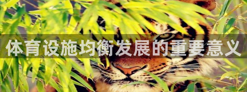 德国意昂3集团：体育设施均衡发展的重要意义