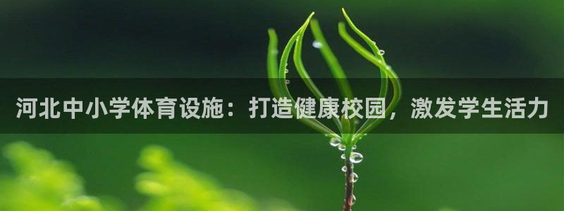 意昂体育3联系电话：河北中小学体育设施：打造健康校园