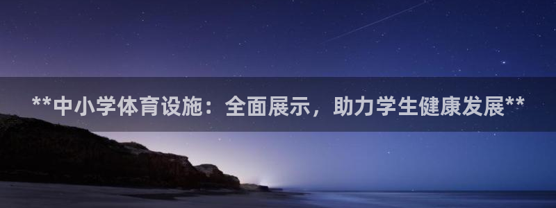 意昂体育3平台注册流程图：**中小学体育设施：全面展