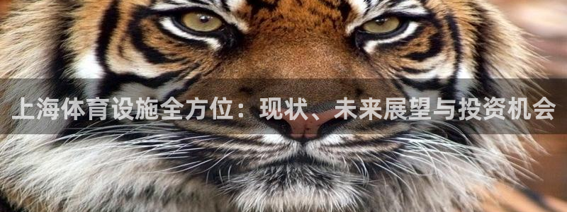 意昂体育3平台注册流程图：上海体育设施全方位：现状、
