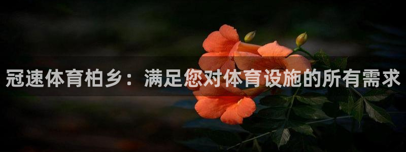 意昂体育3平台：冠速体育柏乡：满足您对体育设施的所有