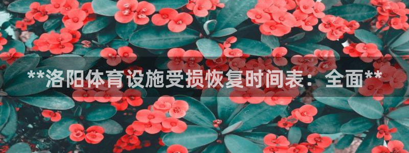 德国意昂3集团：**洛阳体育设施受损恢复时间表：全面