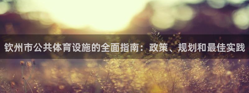 海南意昂体育3：钦州市公共体育设施的全面指南：政策、