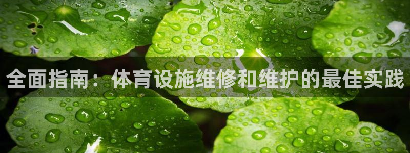 意昂体育3招商电话号码查询是多少：全面指南：体育设施