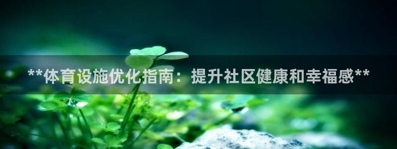 意昂体育3招商电话地址查询：**体育设施优化指南：提