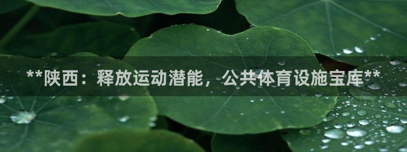 意昂体育3招商电话地址查询：**陕西：释放运动潜能，