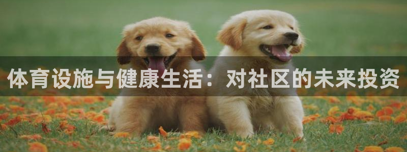 意昂3集团官网网址：体育设施与健康生活：对社区的未来