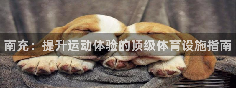 意昂3科技：南充：提升运动体验的顶级体育设施指南