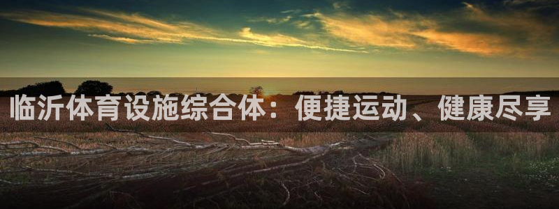 意昂体育3招商电话是多少：临沂体育设施综合体：便捷运