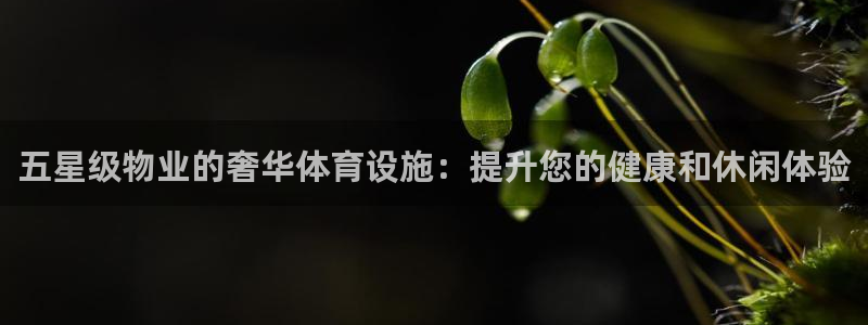意昂3集团官网首页网址：五星级物业的奢华体育设施：提
