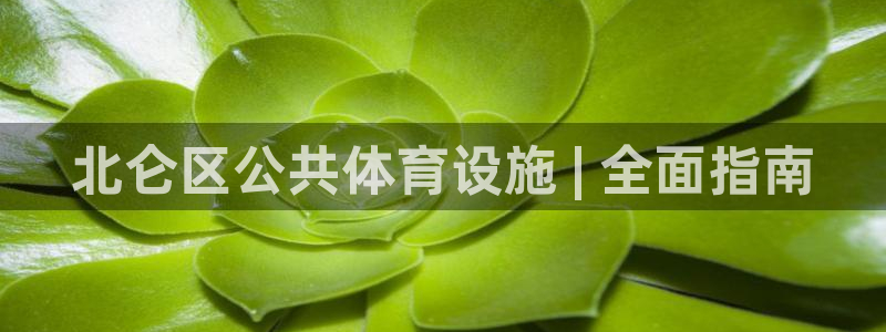 意昂3集团E.ON：北仑区公共体育设施 | 全面指南