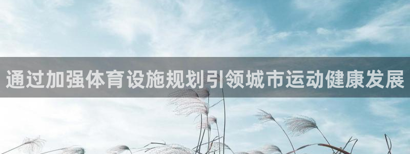 意昂体育3是干嘛的公司：通过加强体育设施规划引领城市