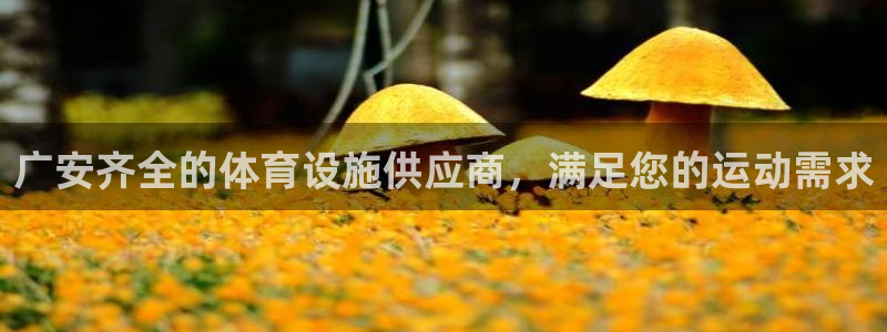 意昂平台体育