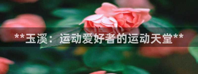 意昂3科技：**玉溪：运动爱好者的运动天堂**