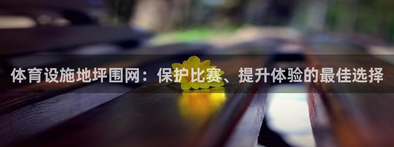 意昂体育3招商电话地址是多少：体育设施地坪围网：保护