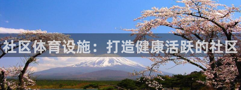 意昂体育3联系电话：社区体育设施：打造健康活跃的社区