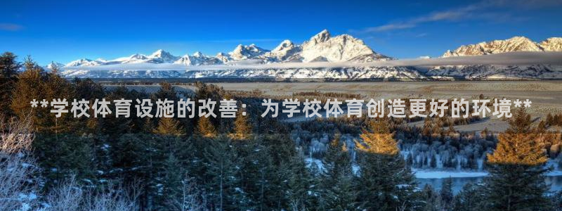 意昂体育3平台是正规平台吗知乎