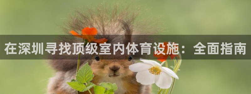 意昂3官网：在深圳寻找顶级室内体育设施：全面指南