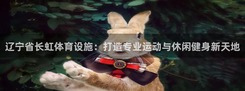 意昂体育3平台注册流程视频：辽宁省长虹体育设施：打造