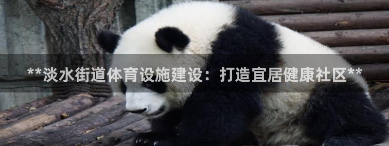 意昂3科技：**淡水街道体育设施建设：打造宜居健康社
