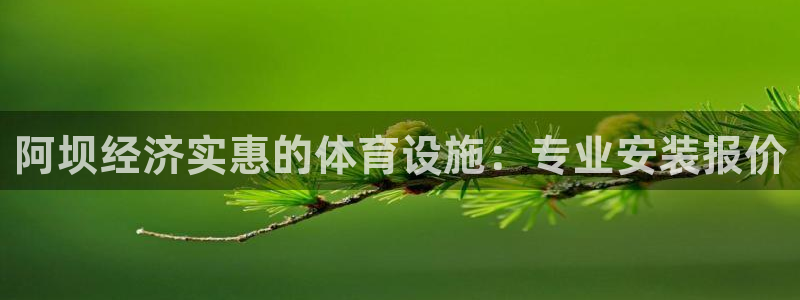 意昂3科技：阿坝经济实惠的体育设施：专业安装报价