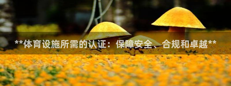 意昂体育3招商电话地址是多少：**体育设施所需的认证