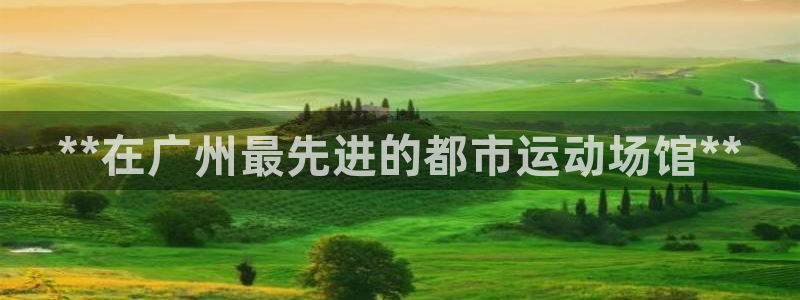意昂体育3开户：**在广州最先进的都市运动场馆**
