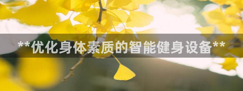 意昂3神州：**优化身体素质的智能健身设备**