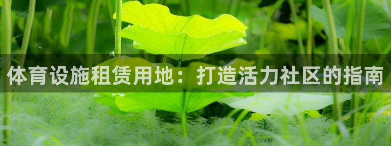 意昂3娱乐代理怎么样：体育设施租赁用地：打造活力社区