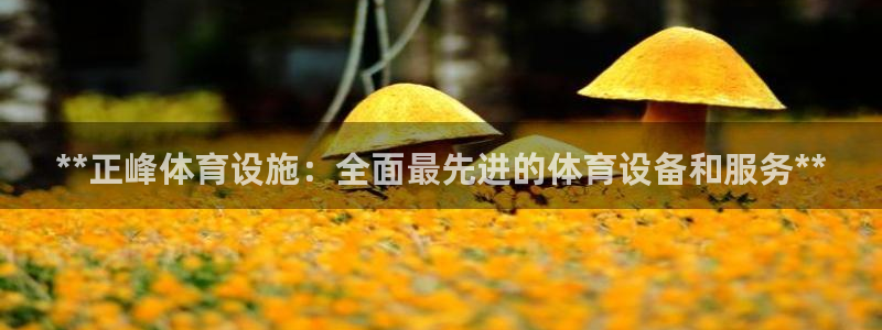 意昂体育3联系电话