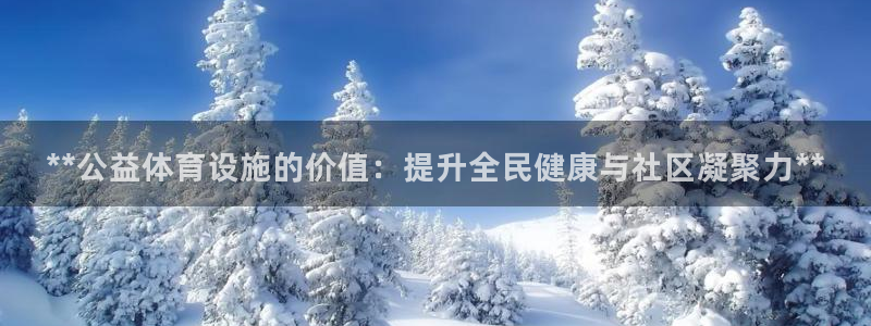 注册意昂3：**公益体育设施的价值：提升全民健康与社