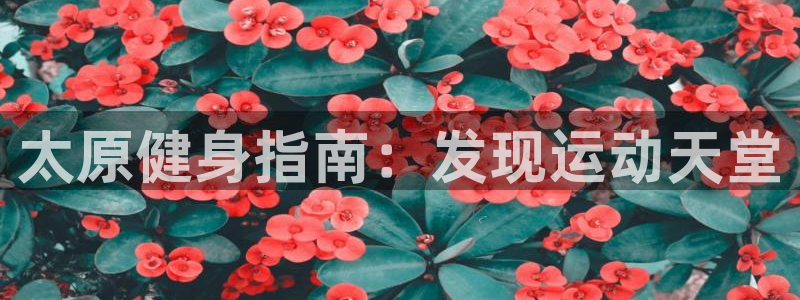 意昂体育3平台是正规平台吗知乎：太原健身指南：发现运