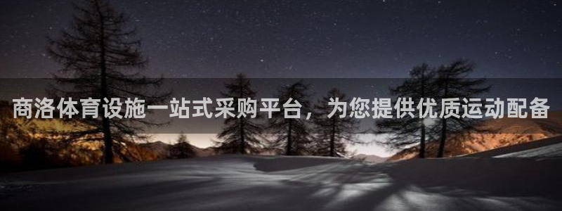 德国意昂3集团：商洛体育设施一站式采购平台，为您提供