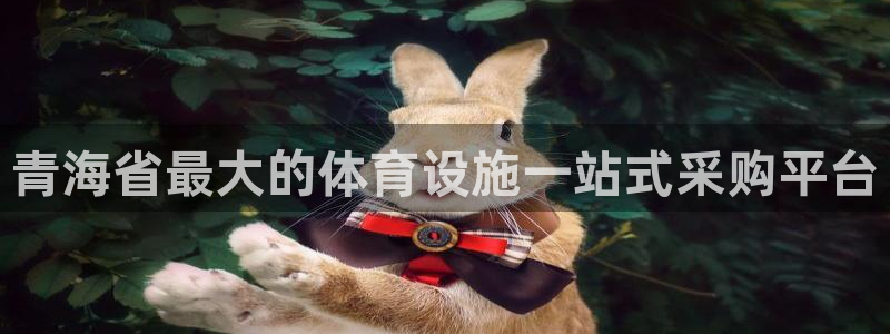 意昂体育3平台是正规平台吗安全吗：青海省最大的体育设
