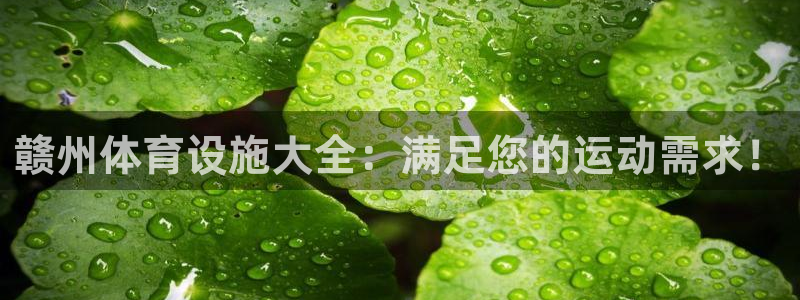 意昂3集团logo