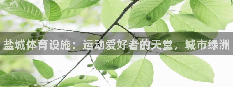 意昂3娱乐40996