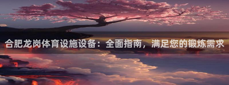 意昂体育3平台是正规平台吗安全吗：合肥龙岗体育设施设备：全面