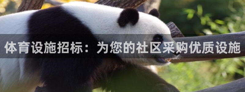 意昂3集团简介：体育设施招标：为您的社区采购优质设施