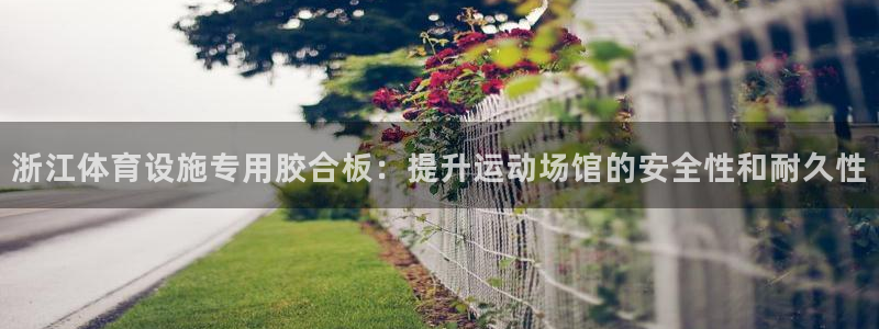 意昂3集团简介：浙江体育设施专用胶合板：提升运动场馆的安全性
