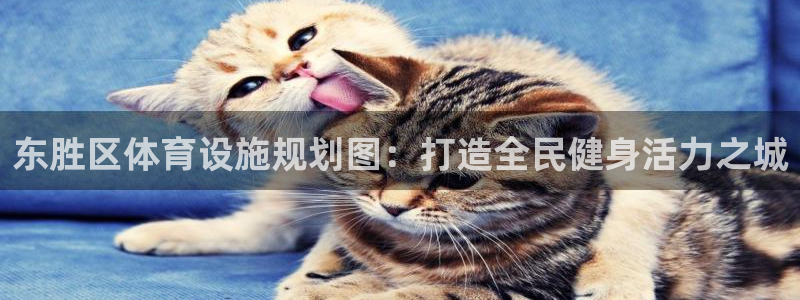 意昂3娱乐代理怎么样：东胜区体育设施规划图：打造全民健身活力