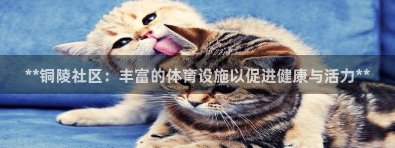 意昂体育3平台假的吗是真的吗吗：**铜陵社区：丰富的