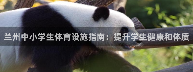 意昂3集团官网网址