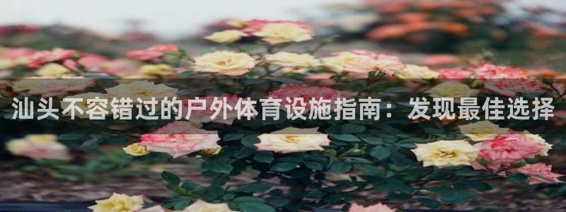 意昂体育3招商电话号码：汕头不容错过的户外体育设施指