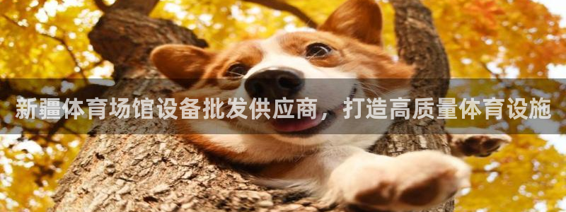 意昂3娱乐首页网站大全：新疆体育场馆设备批发供应商，
